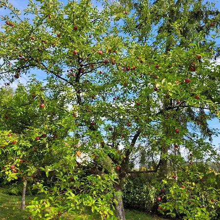 شقة 10 Nowe Polaszki