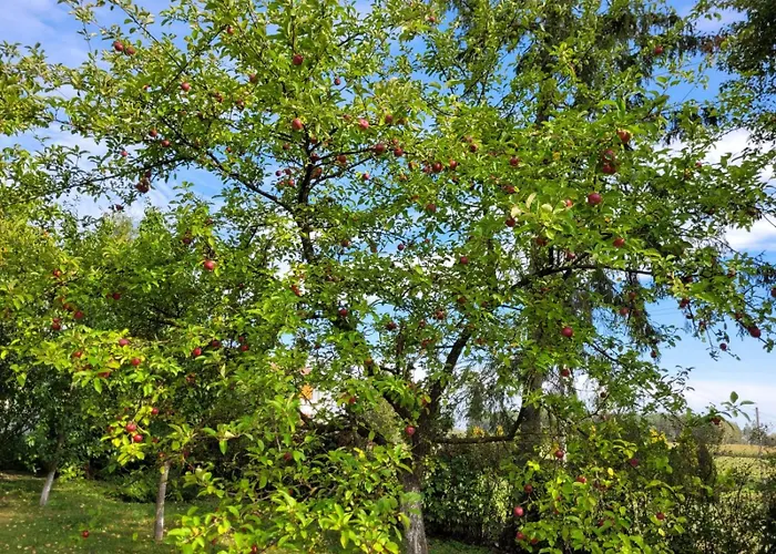 Apartamento 10 Nowe Polaszki